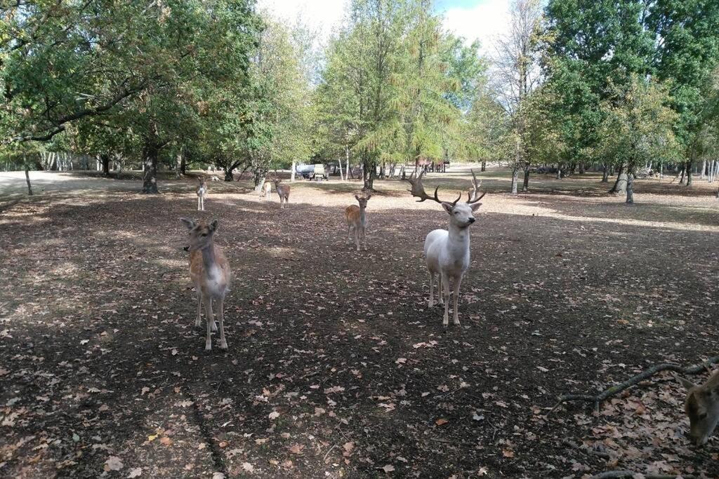 Rietschen, Natur Erleben Dış mekan fotoğraf