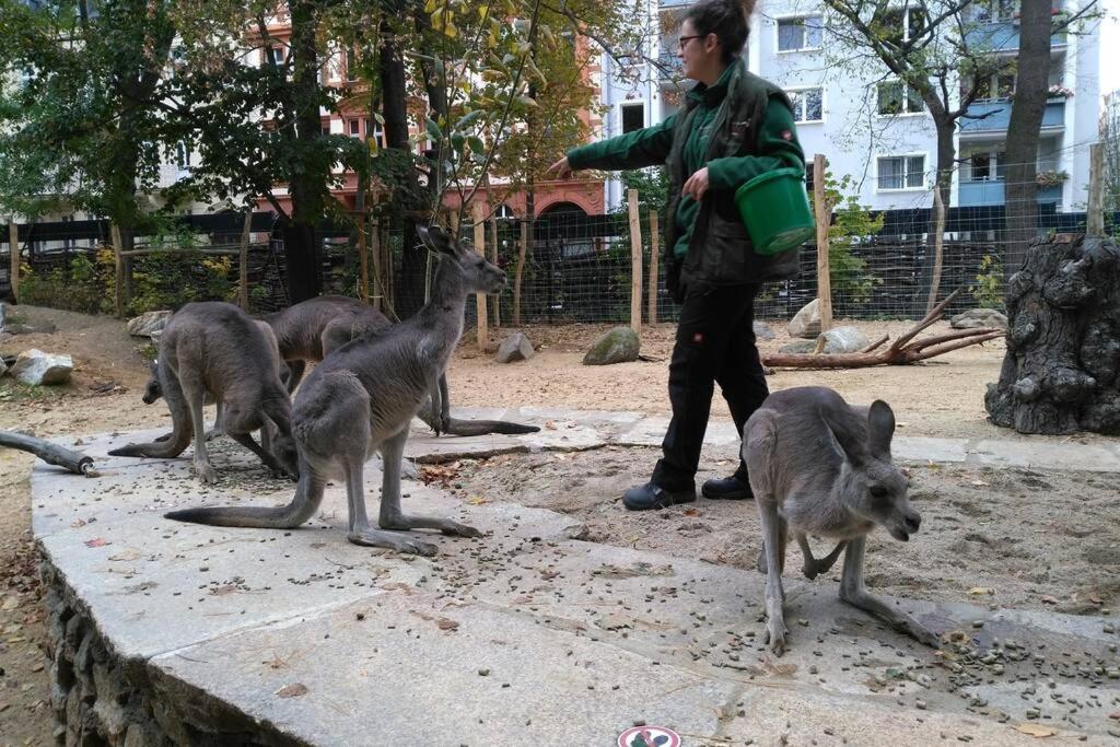 Rietschen, Natur Erleben Dış mekan fotoğraf